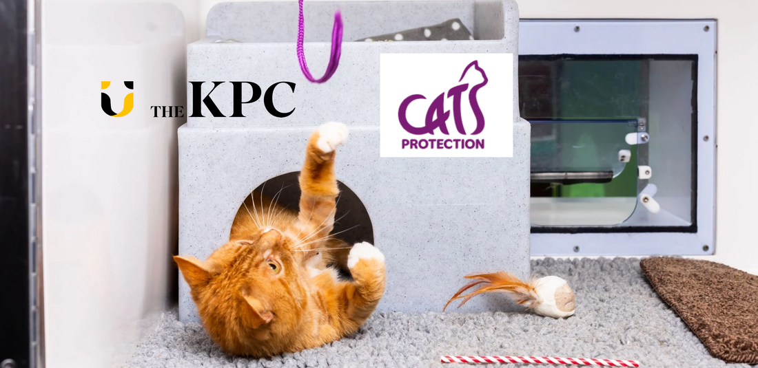 Winter Cat Rescue - Join Larry to Help 500 Cats Stay Cared