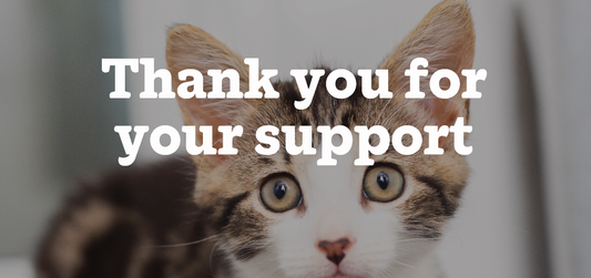 🐾 Save the Kitten This Winter – Donation Update